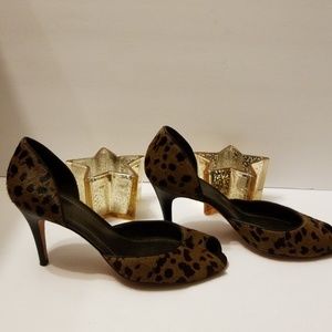 Ann Taylor shoes